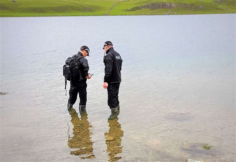 'Appalling act' of man and woman convicted of destroying protected bird ...