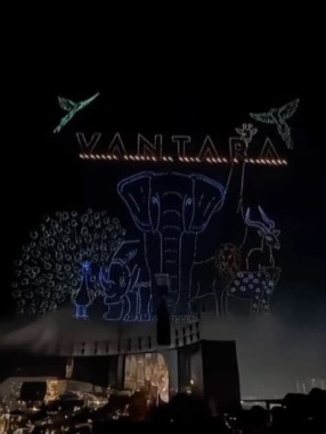 अंबानी Drone Show में क्यों हाइलाइट किया गया गौरी का नाम? दुनिया का ...