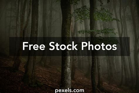 Dark Green Nature 的图像结果