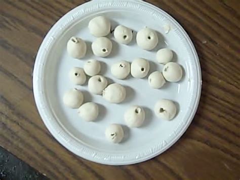 Simple Nature Crafts 的图像结果