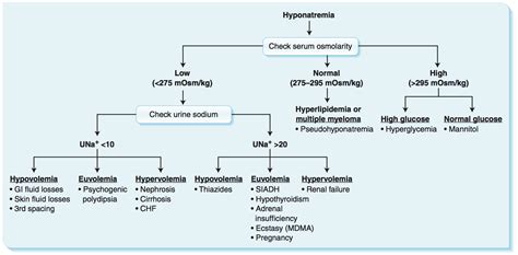 Hypernatremia Algorithm 的图像结果
