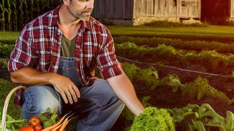 Local Farming 的图像结果