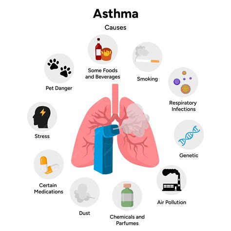 Causes Of Asthma