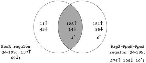 Microarrays | Special Issue : Microfluidics Technology