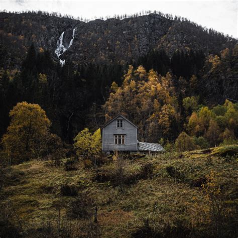 Birding with an E‑M10 Mark IV + Oly 100-400 : r/M43