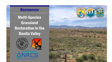 Multi-species Grassland Restoration Handout | FWS.gov