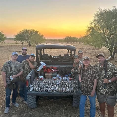 Texas Dove Season: 2024-2025 Hunting Dates & Information