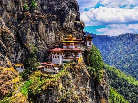 Image result for Bhutan Python Coders