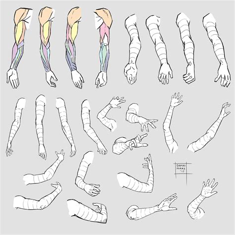 Muscular Female Arms Drawing : Drawing female anime arms and hands ...