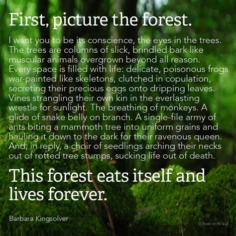 Words Wednesday: Barbara Kingsolver | Books on the Wall