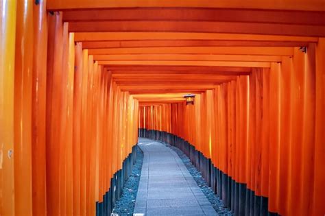 Premium Photo | Torii gates in fushimi inari shrine kyoto japan