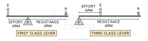 Third Class Lever Diagram Class Three Lever Examples