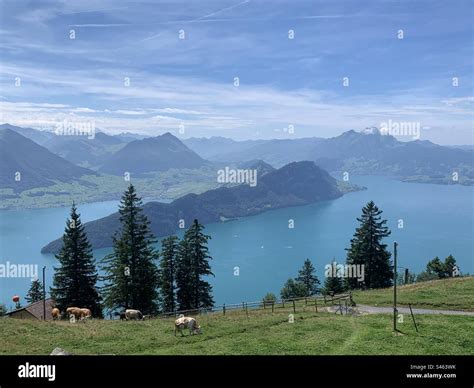 View of lake Lucerne and Burgenstock from mount rigi Stock Photo - Alamy