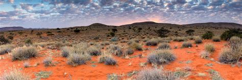 Planning a trip to the Kgalagadi - an Indian photographer's guide ...