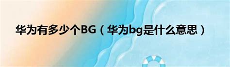 华为有多少个BG（华为bg是什么意思）_51房产网