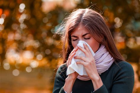 What Causes Fall Allergies? - WellCare