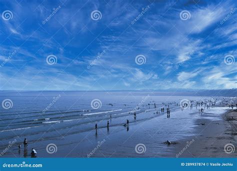 Busy Beach Scene 的图像结果