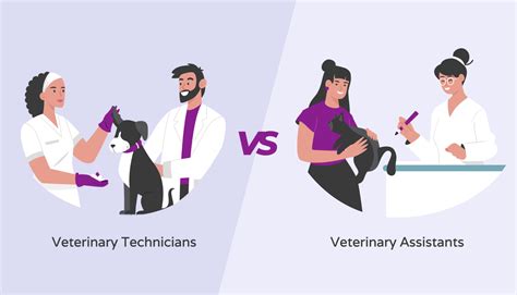 Image result for Vet Tech VA Program