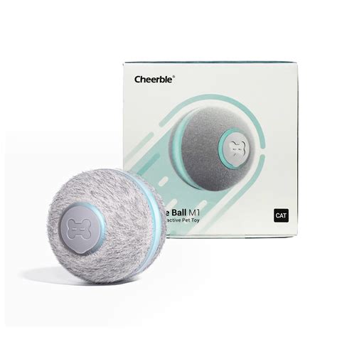 Buy Cat Products Online | Cat Toys, Cat Food & more – Pawsindia