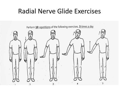 Radial Nerve palsy, Anatomy, Diagnosis and Management.pptx