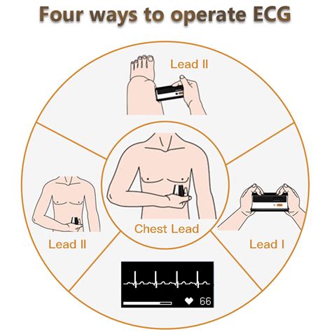 Checkme Blood Pressure Monitor + EKG, Upper Arm Cuff India | Ubuy