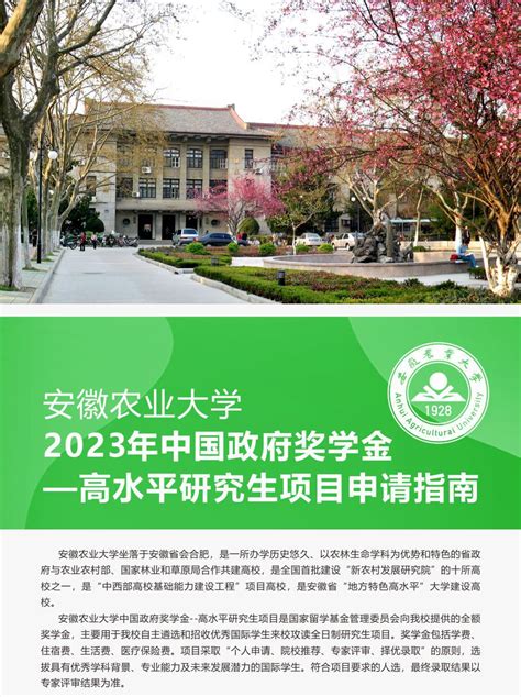 科技特长生：安徽省芜湖科技特长生（信息学、机器人、编程大赛）学校招生政策汇总 - 少儿编程学习网