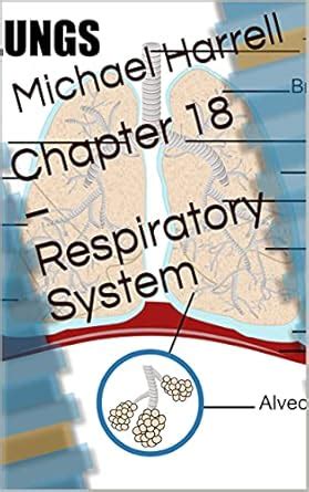 Chapter 18 – Respiratory System (Chapter Series for Human Anatomy ...