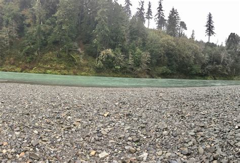 Alfred A. Loeb State Park Campground | Brookings, Oregon