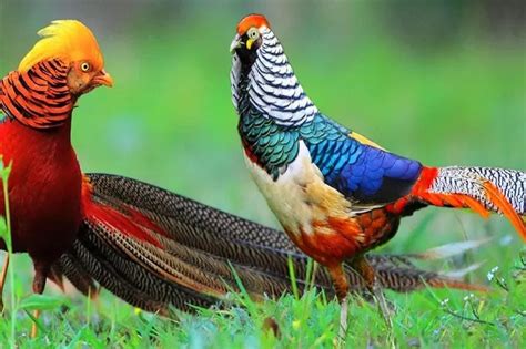 Image result for How to Create a 2D Array in Python