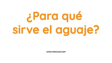 ¿Para qué sirve el aguaje? Conoce su uso, transforma tu salud - MENCUES