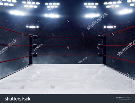 Professional Boxing 的图像结果