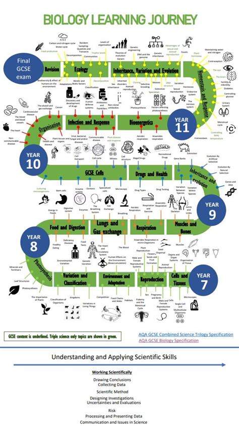 Biology Learning 的图像结果