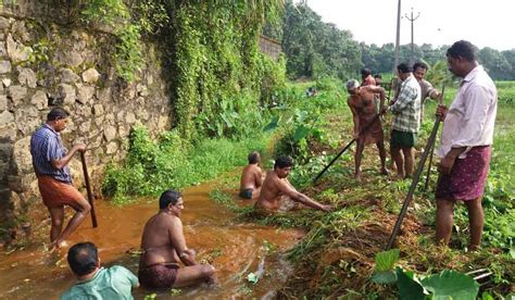 The Meenachil flows, thanks to these river warriors