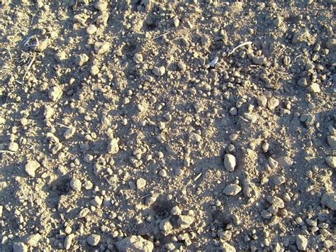 Vector Earth Texture 的图像结果