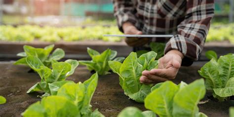 Examples of Modern Technology Today 的图像结果