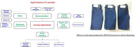 Technology Available