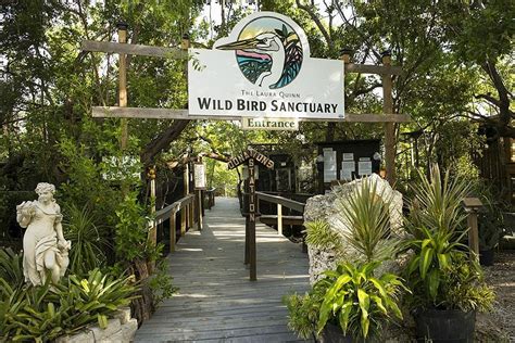 THE FLORIDA KEYS WILD BIRD CENTER (2025) All You Need to Know BEFORE ...