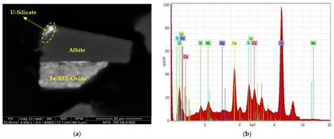 Descriptive Process Mineralogy to Evaluate Physical Enrichment ...