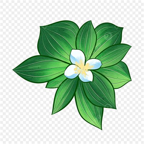 Canada National Flower