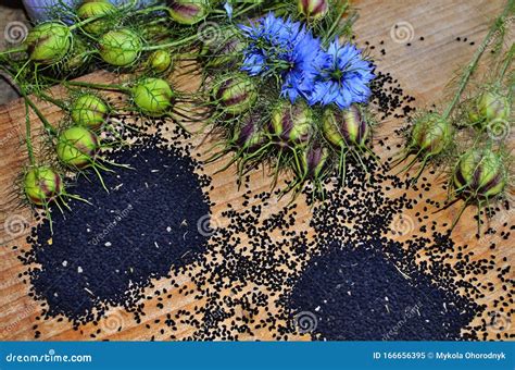 Black Cumin Nigella Sativa or Kalonji Seeds in Heart-shaped Bowl on ...