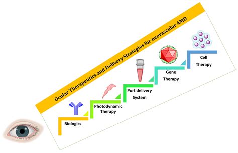 Ocular Therapeutics and Molecular Delivery Strategies for Neovascular ...