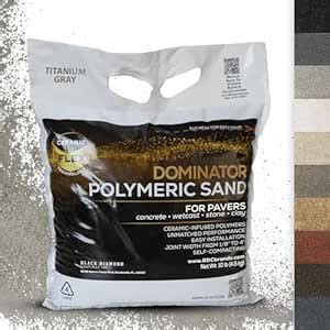 10 Pound Titanium Gray DOMINATOR Polymeric Sand with Revolutionary ...