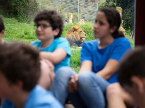 Vuelta al cole en los zoos de Selwo y Teleférico de Benalmádena ...