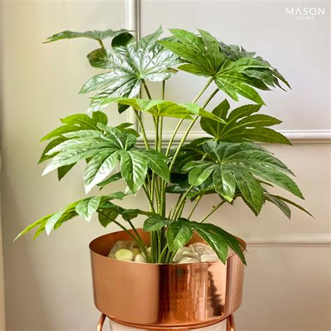 ARTIFICIAL SHORT PLANTS