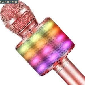 Bygaura J2012 PRO(WS858) HandheldSpeaker&Mic Color may vary (Pack of 1 ...