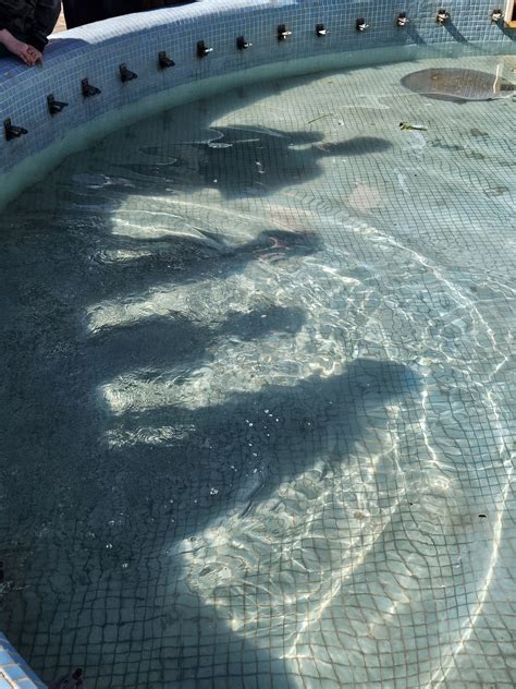 Worship....What Does That Mean? - Stephanie the Unlikely Missionary