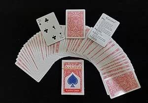 Buy The GANJIFO Deck Magic Trick Magicians Deck Online at Low Prices in ...