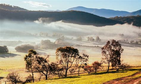 Coldstream Pet-Friendly Holiday Rentals - Victoria, Australia | Airbnb