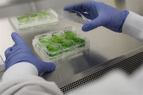 Army scientists seek capability against waterborne toxins | Article ...