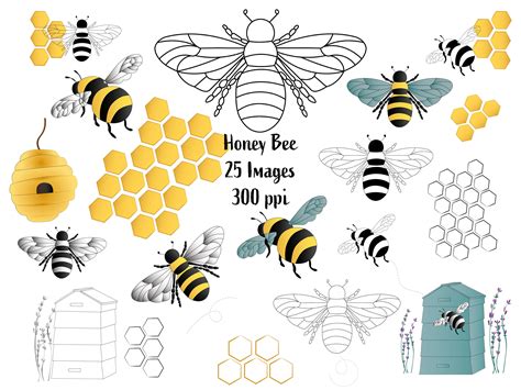Bee Clip Art Image Files Honey Bee and Black and White Bees - Etsy Canada